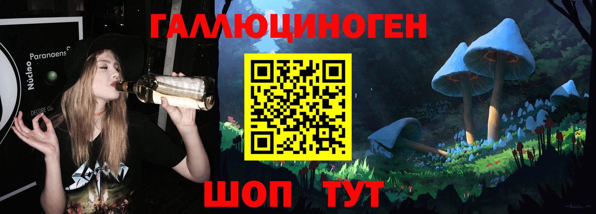 Псилоцибиновые грибы Psilocybine cubensis Лосино-Петровский