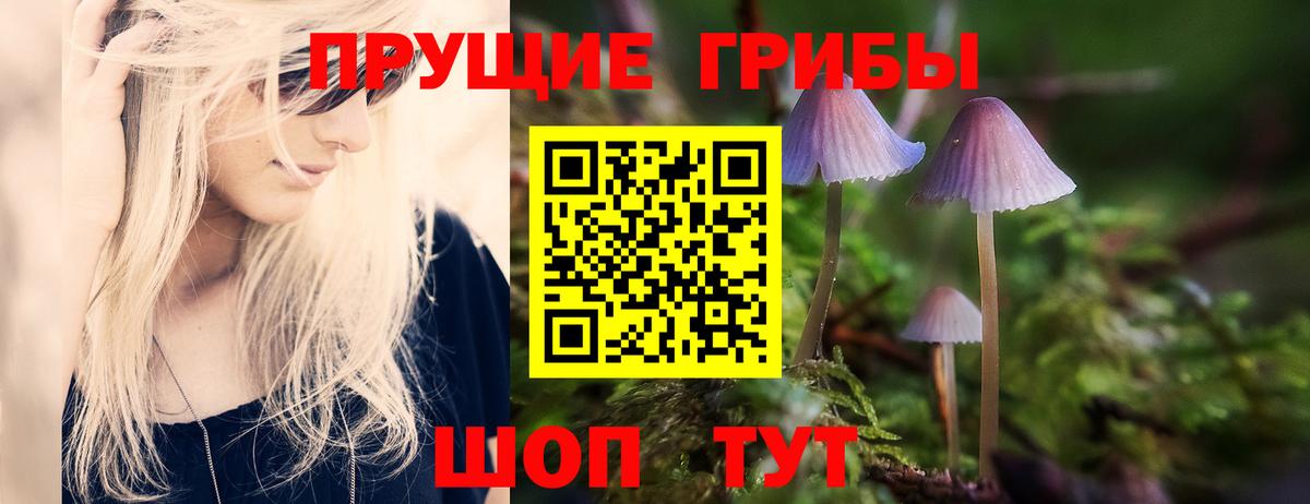 Псилоцибиновые грибы Psilocybine cubensis  Вход с VPN  Лосино-Петровский 
